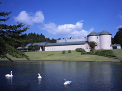 川村記念美術館